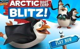 Пингвины из Мадагаскара