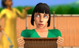 Симсы на сборе урожая